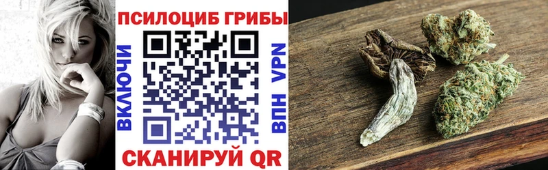Галлюциногенные грибы Magic Shrooms блэк спрут ССЫЛКА Октябрьск